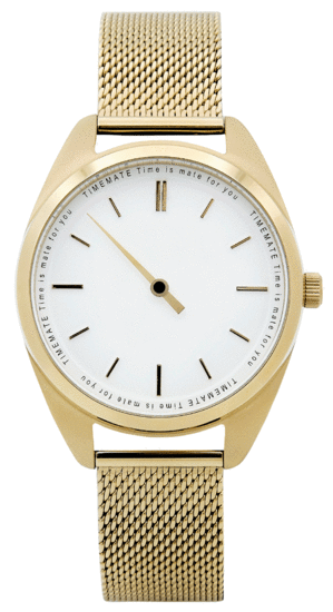 TIMEMATE Mate 301 Double Gold White TM30002