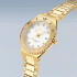 Bering | Classic | Polished/Brushed Gold | 18936-734